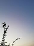 落日晚霞