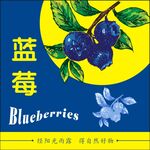 蓝莓不干胶