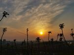 夕阳