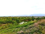 美丽的乡村河道风景