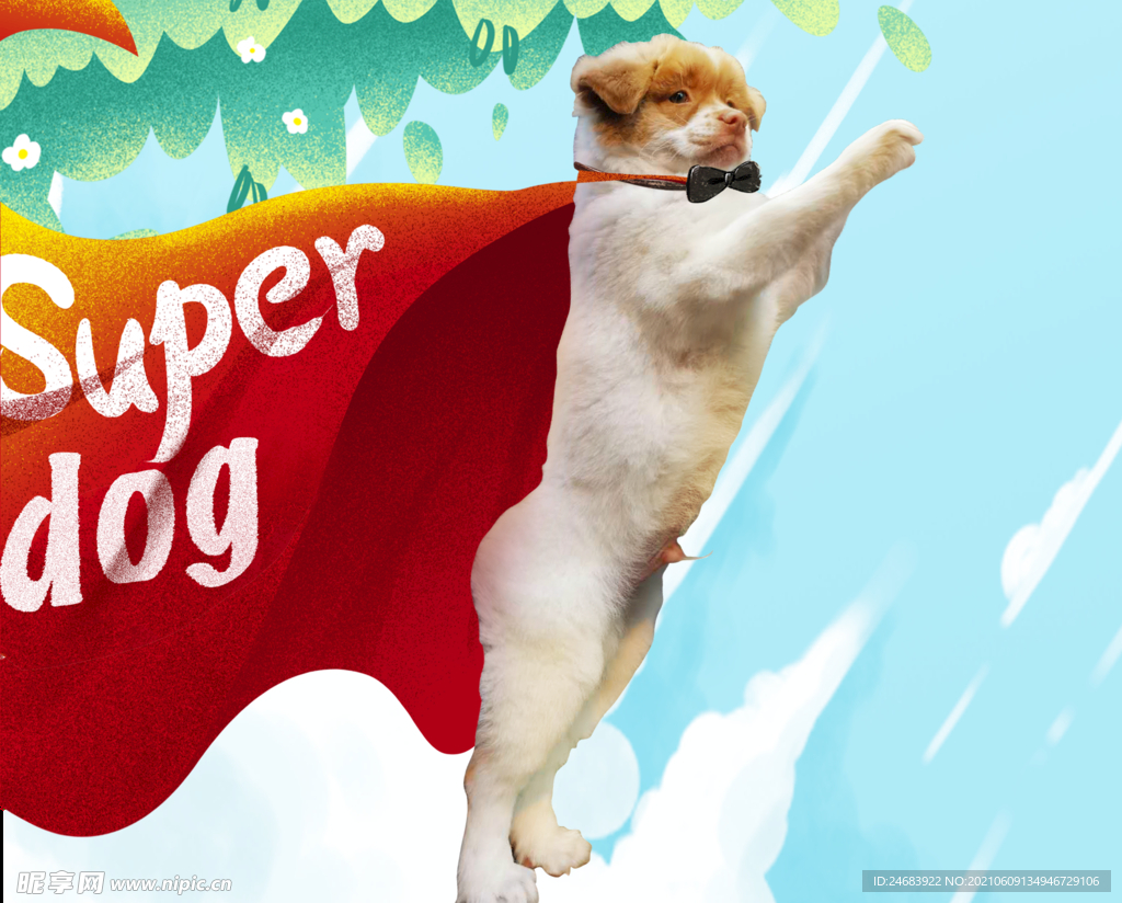 宠物狗superdog