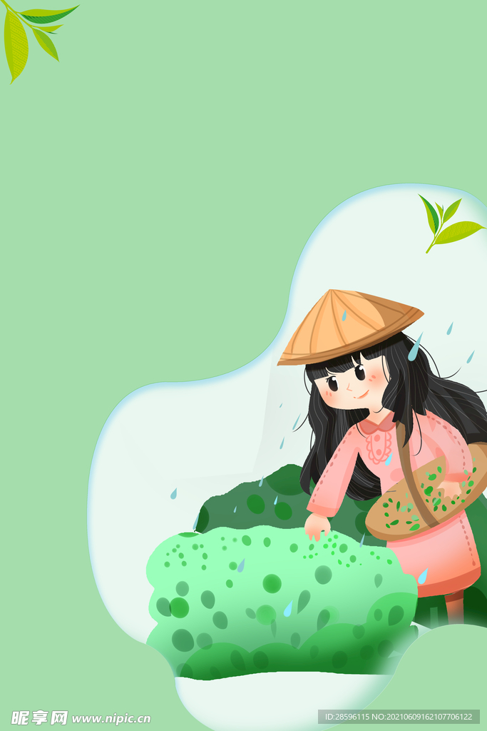 春茶             
