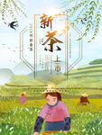 春茶             