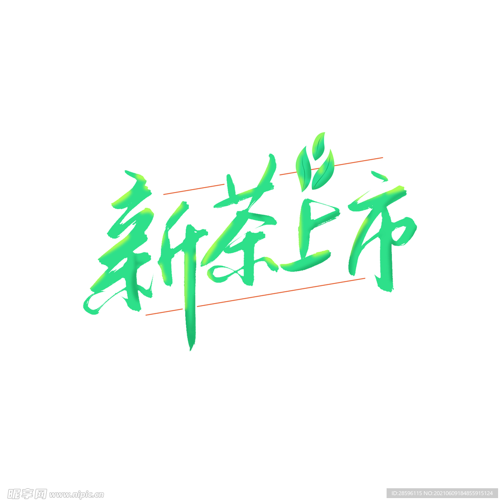 春茶             