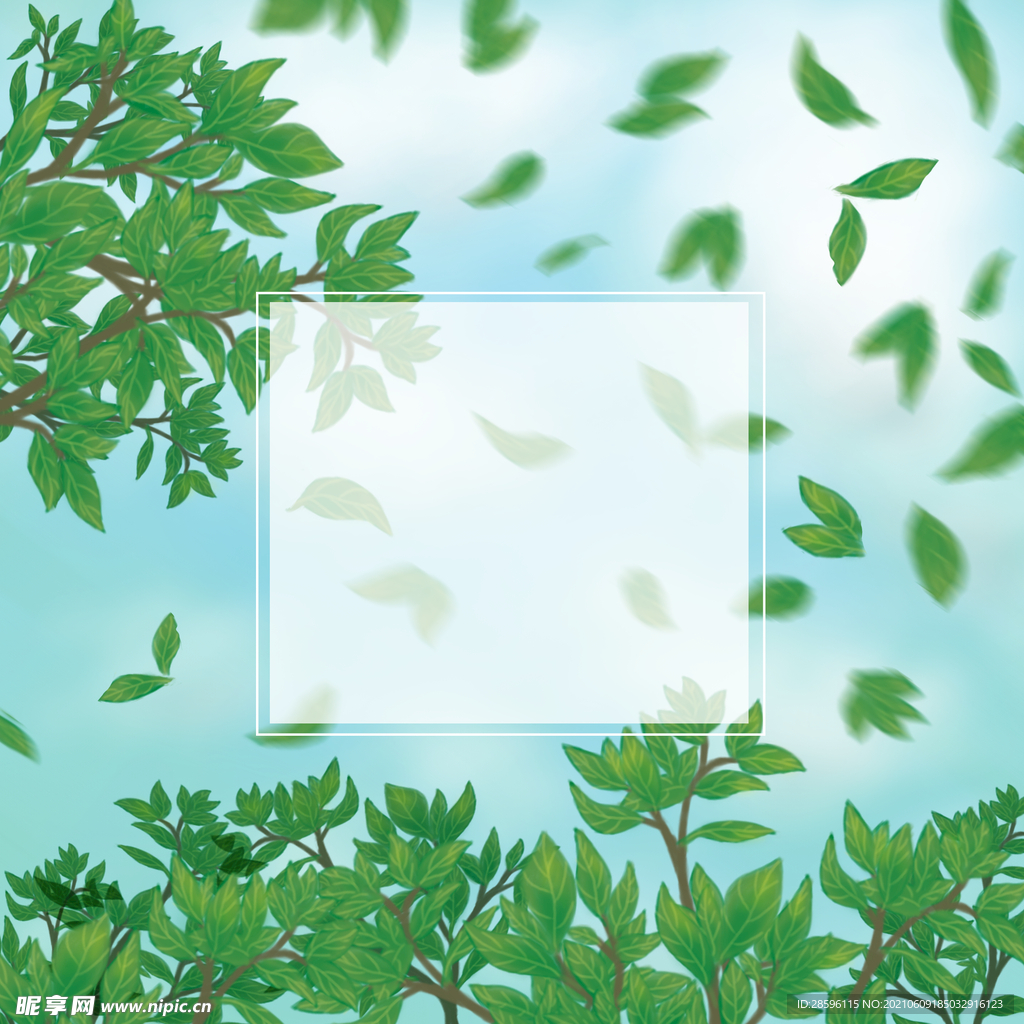 春茶             