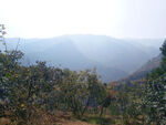 山顶景观