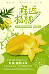 杨桃海报