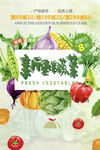 蔬菜海报