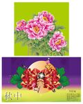 牡丹花