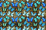 豹纹 蝴蝶 花 设计 图案