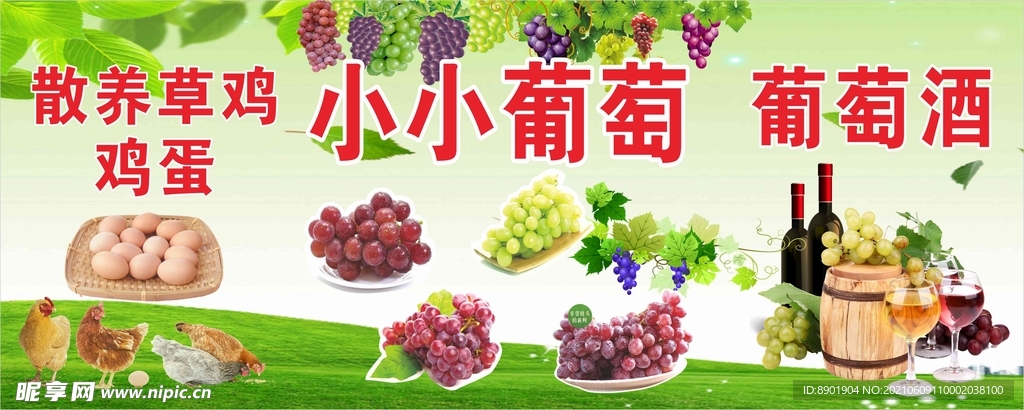葡萄海报