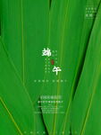 简约中国传统佳节端午粽叶绿色叶