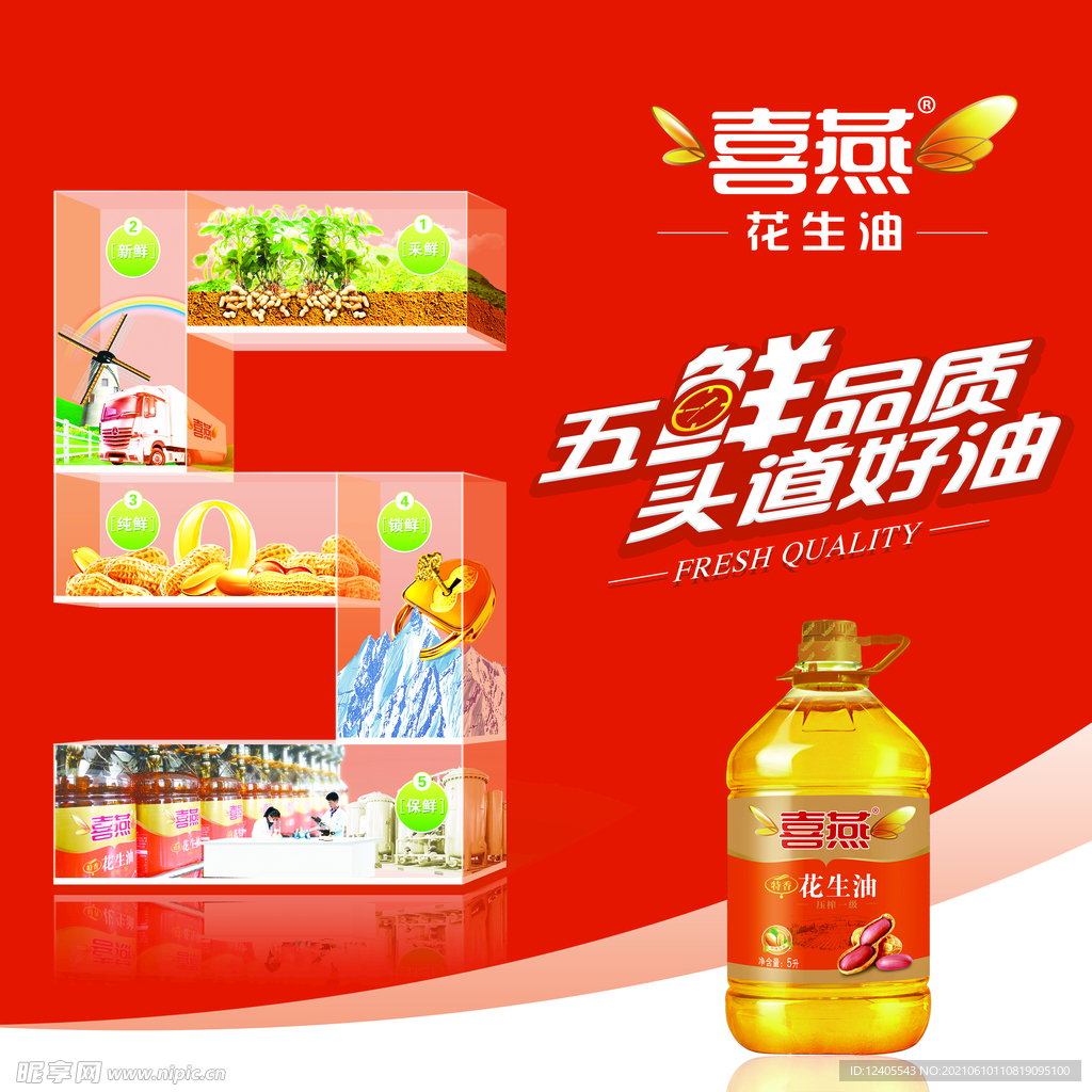 喜燕花生油 标准版
