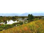 美丽的乡村河道风景