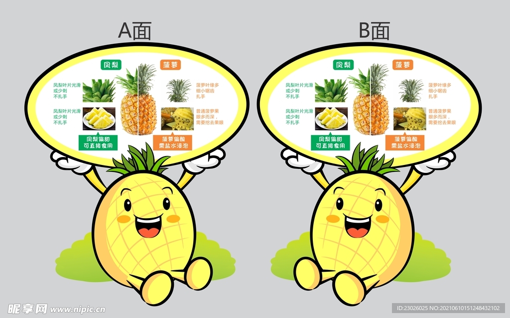 菠萝凤梨对比图