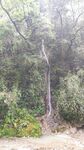 黑山谷