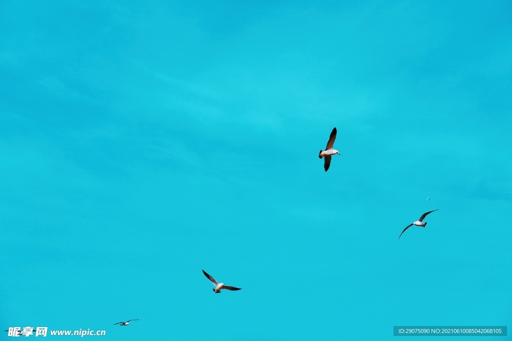 天空