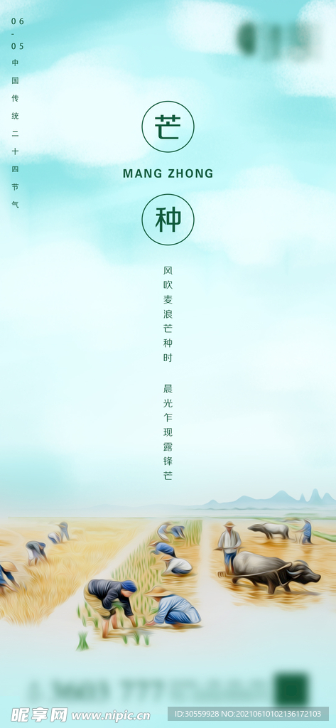 地产芒种微信