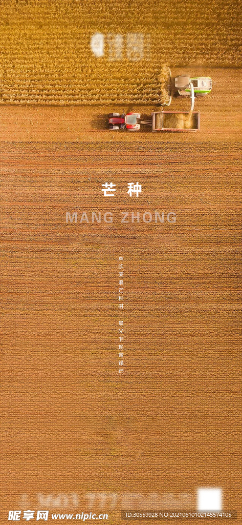 地产芒种微信