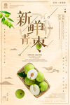 青枣海报