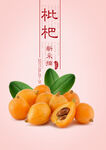 枇杷海报