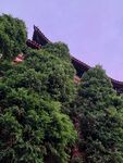 古建筑 中式城楼 实景 照片