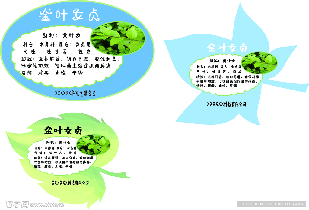 树叶简介