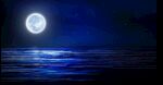 唯美夜色海上明月