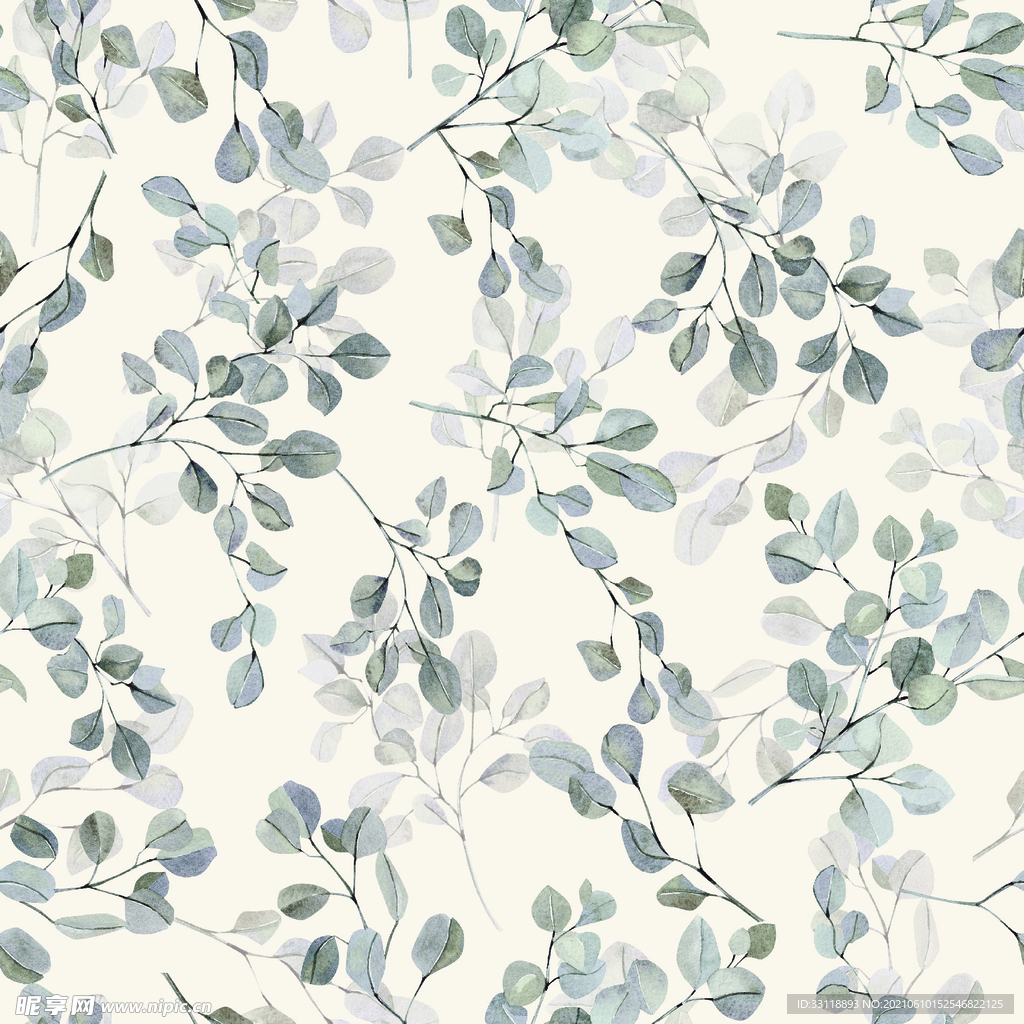 大牌 叶子花 手绘花卉