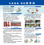 灭蚊除病预防登革热