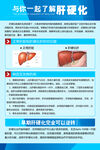 与你一起了解肝硬化