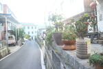 新农村