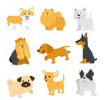 可爱宠物犬矢量