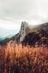 风景