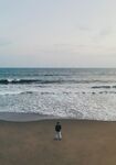 风景
