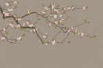 装饰画 花鸟画 新中式 山水 