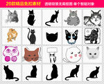 猫咪免抠素材