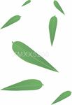 粽叶手绘