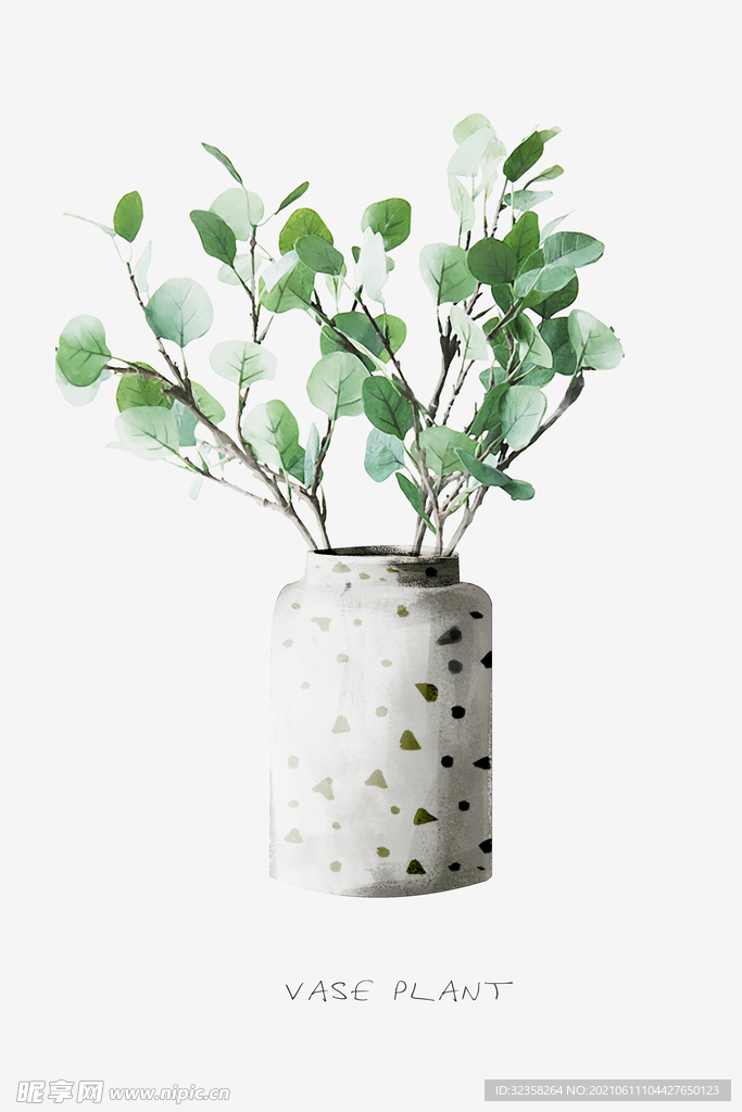 小清新植物