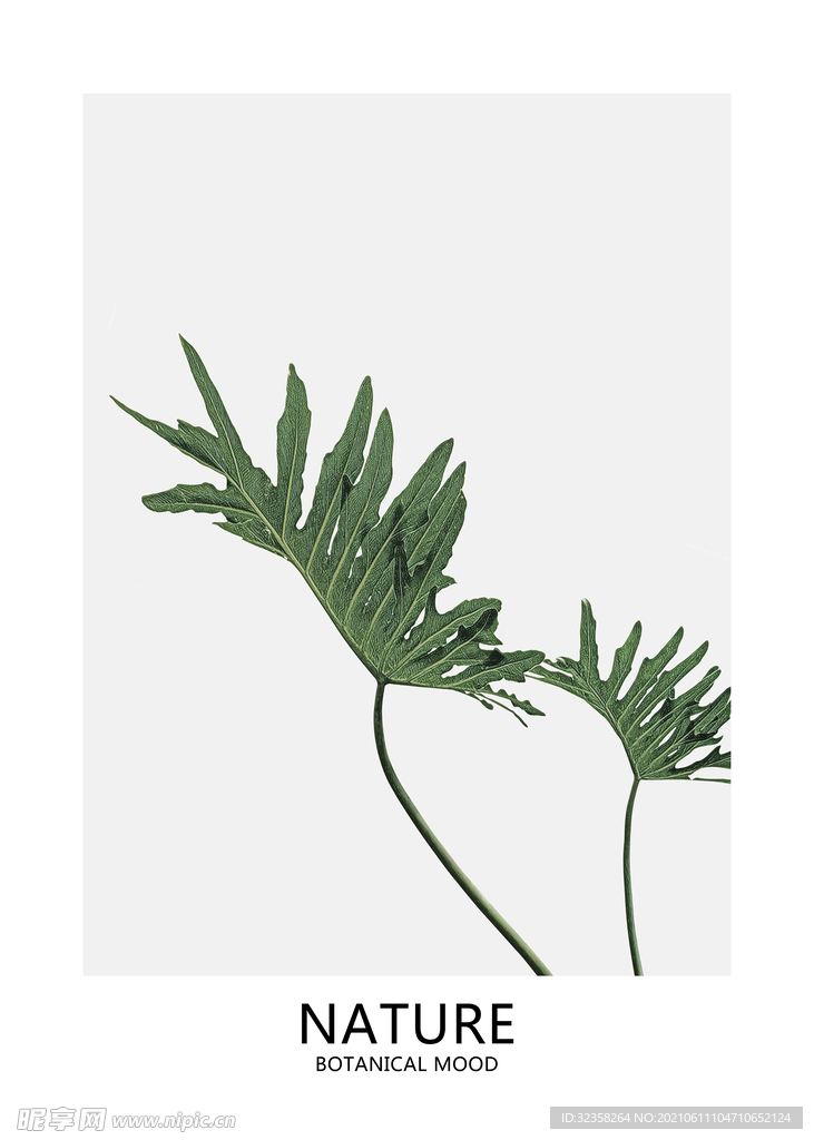 叶子挂画