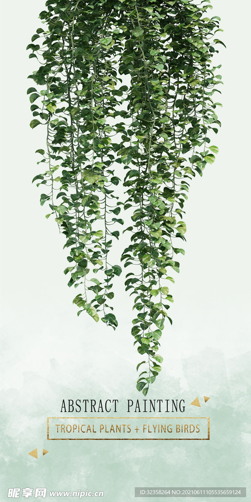 植物挂画