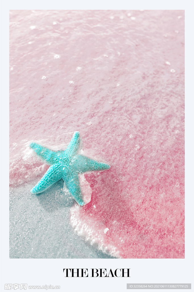 海星挂画