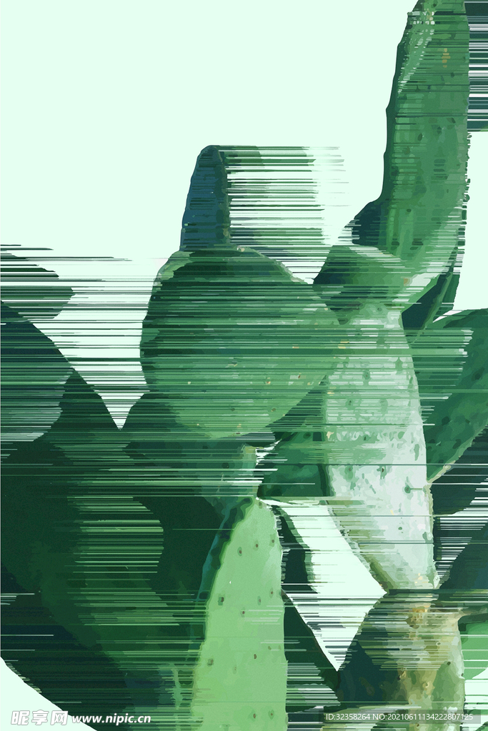 仙人掌植物