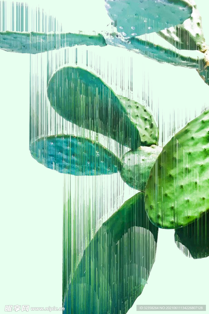 植物装饰画