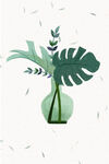 绿色植物
