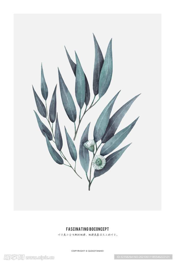 小清新植物