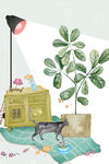 小清新植物装饰画