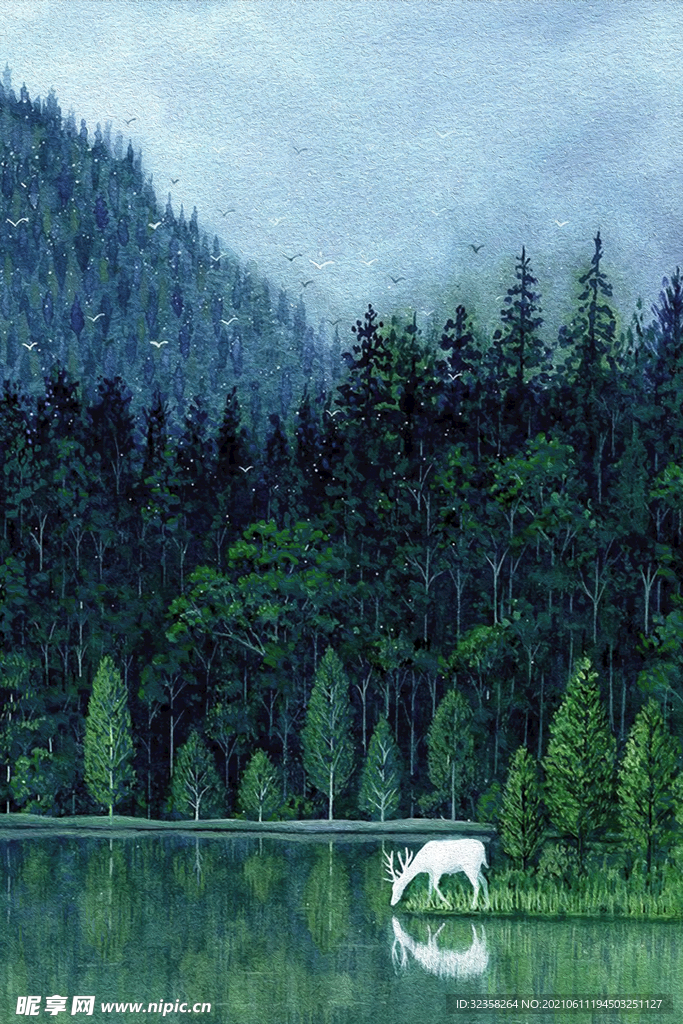 森林风景