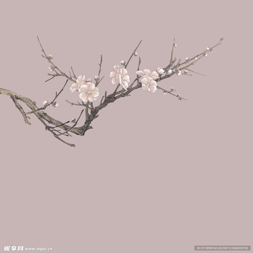 梅花素材