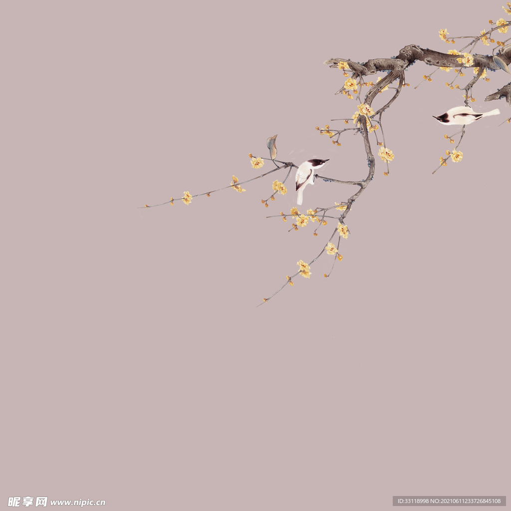 梅花素材